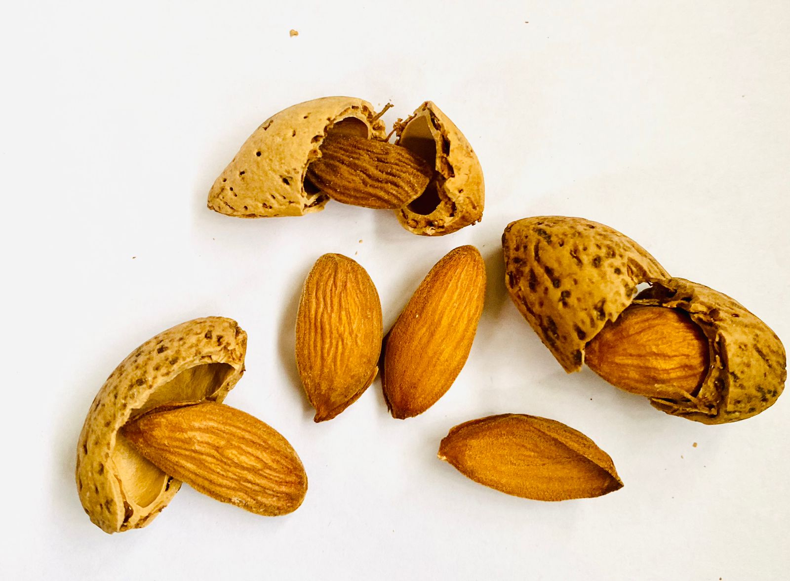 Kashmiri Mamra Almond Soft Inshell Kagzi Badam Shudh Farm