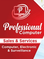 Professional Sales And Services