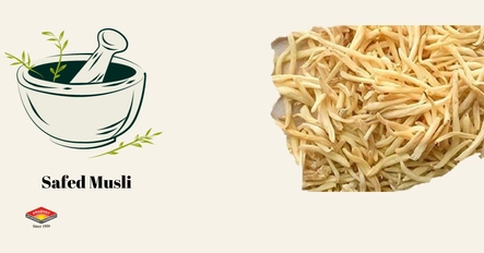 Safed Musli Uncover Its Effectiveness Benefits