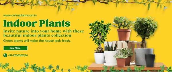 bannerImage