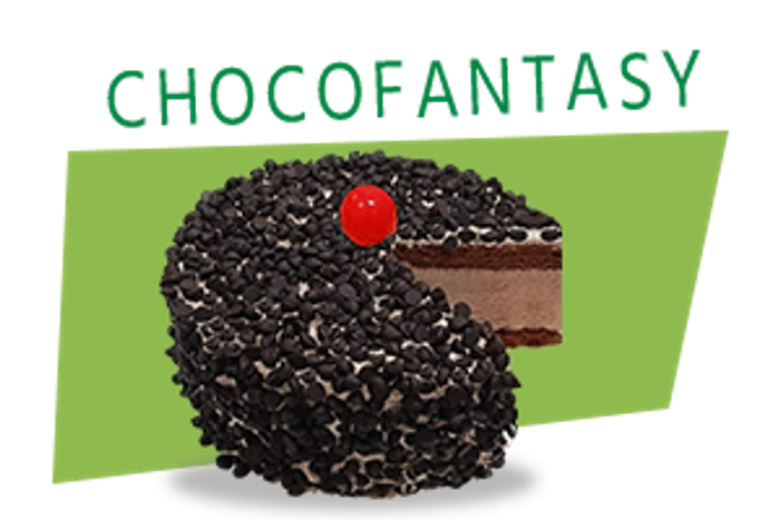 Choco Fudge Fantasy Cake to satiate your choco cravings | Gurgaon Bakers