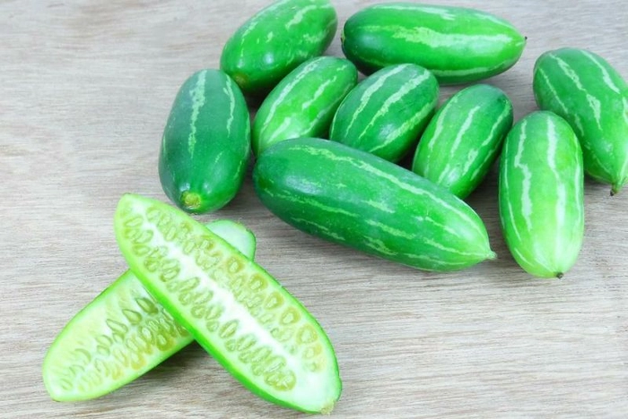 Lvy Gourd