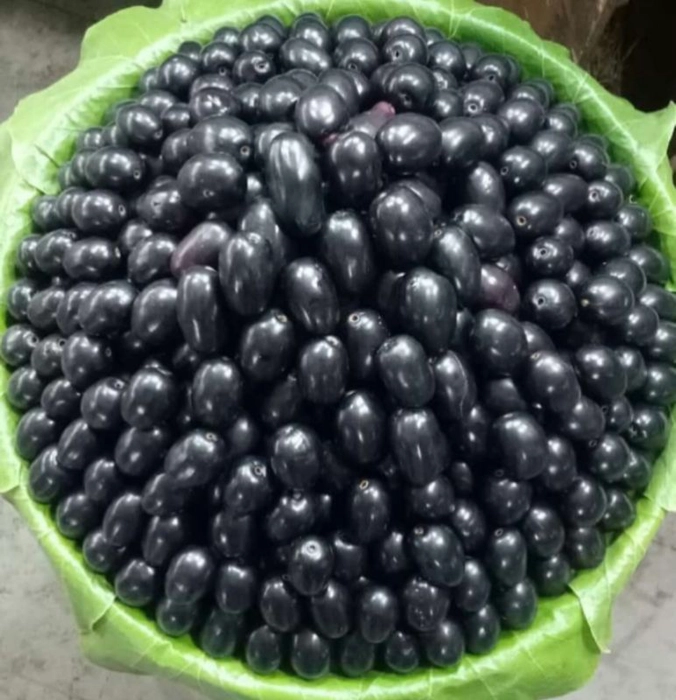 Acai Berry (एकै बेर्री)काला जामुन