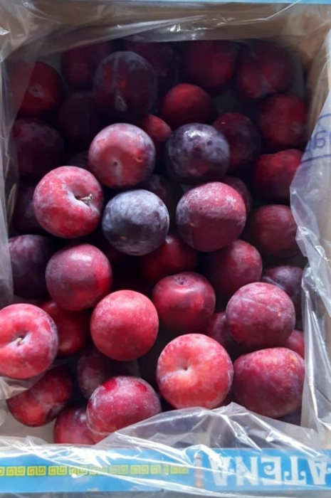 Plum (पल्म)