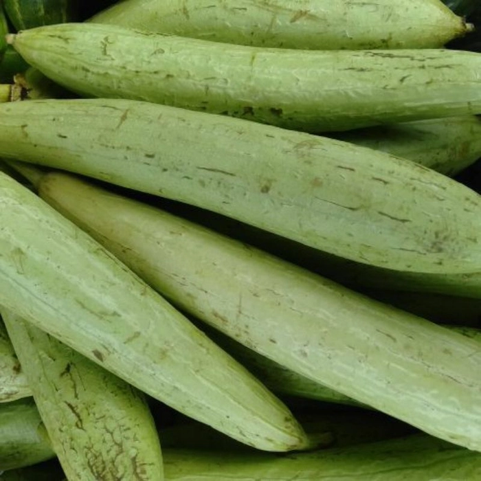 Nenuaa