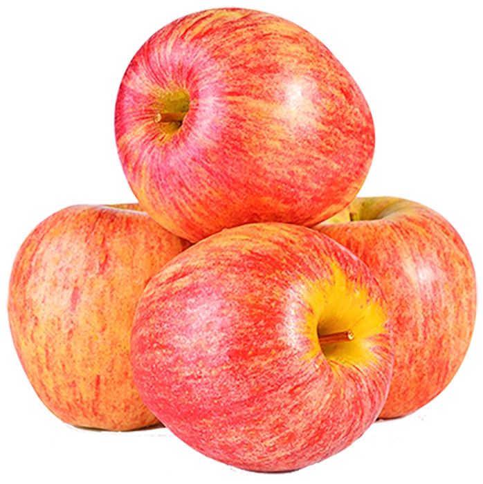 Apple Shimla