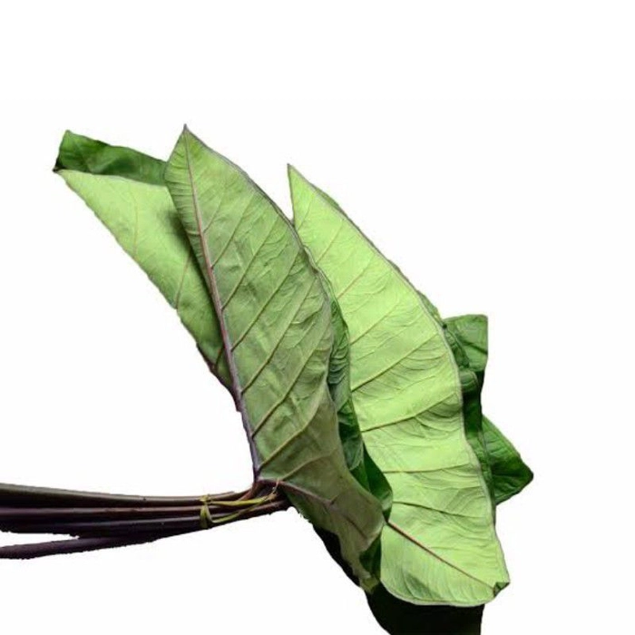 Arabi leaf  Kopal
