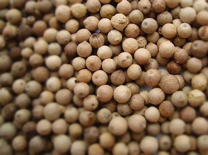 White Pepper