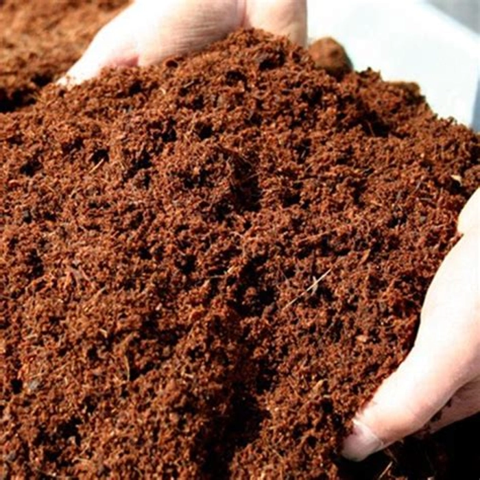 Cocopeat Loose for plants