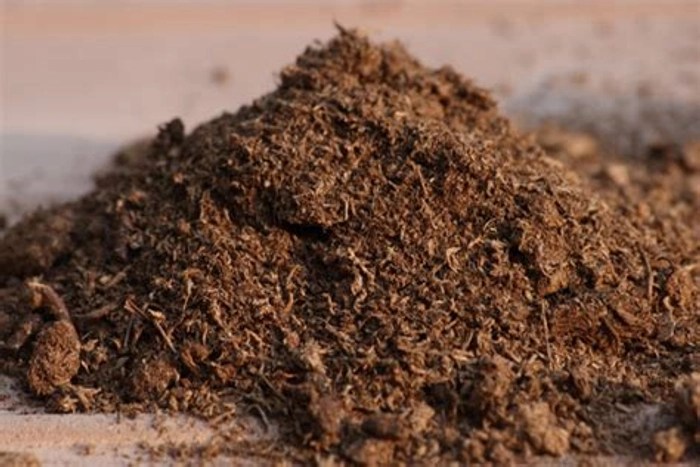 Peat moss For Seeds