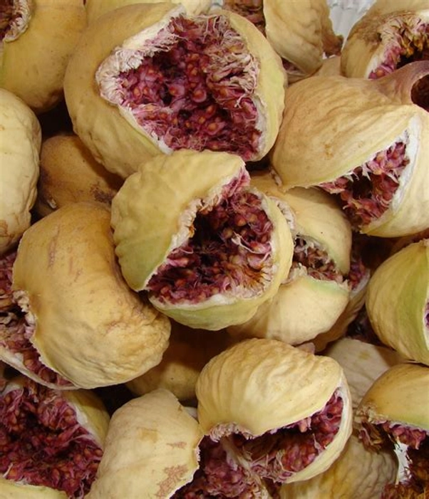 Irani Dry Fig