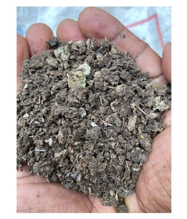 Cow Dung Manure for plants