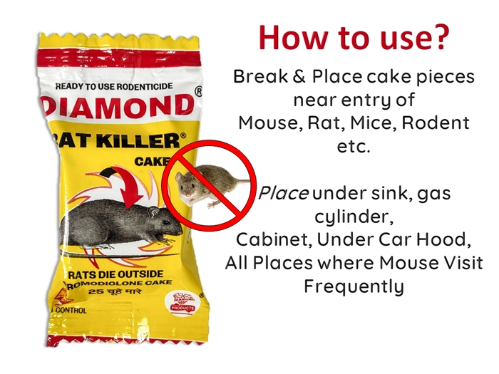 Natation Rodent Control - Small Rat Killer Cake (Pack 10 pc) Snap Trap  Price in India - Buy Natation Rodent Control - Small Rat Killer Cake (Pack  10 pc) Snap Trap online at Flipkart.com