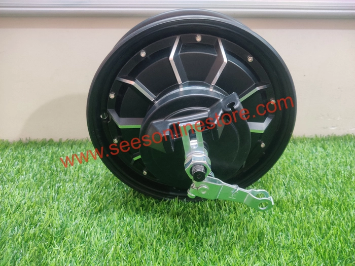 60v 250w hub motor