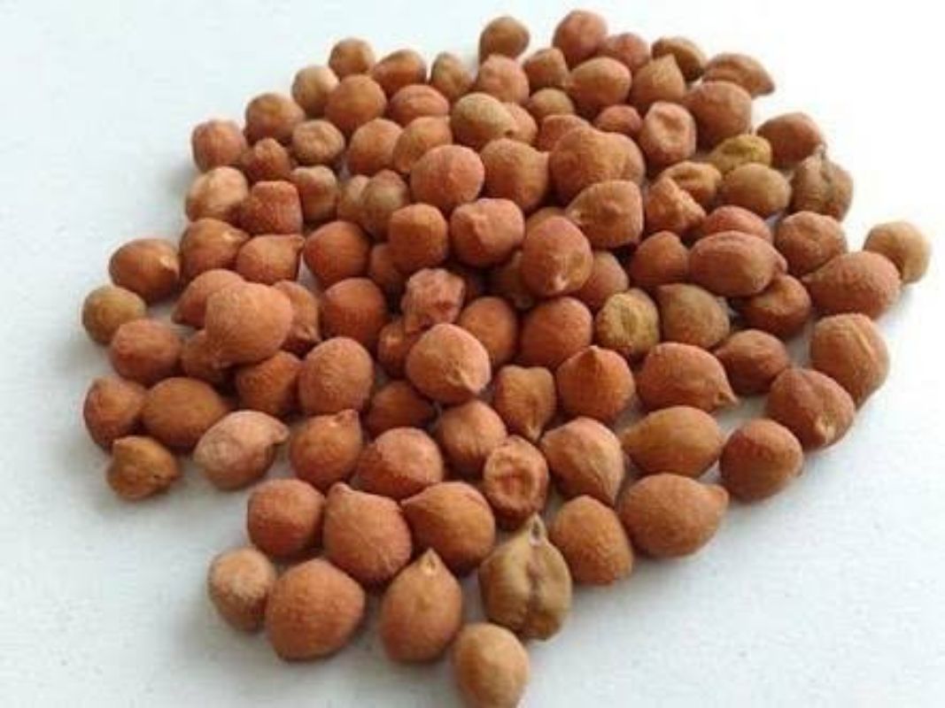 Gulabi Chana