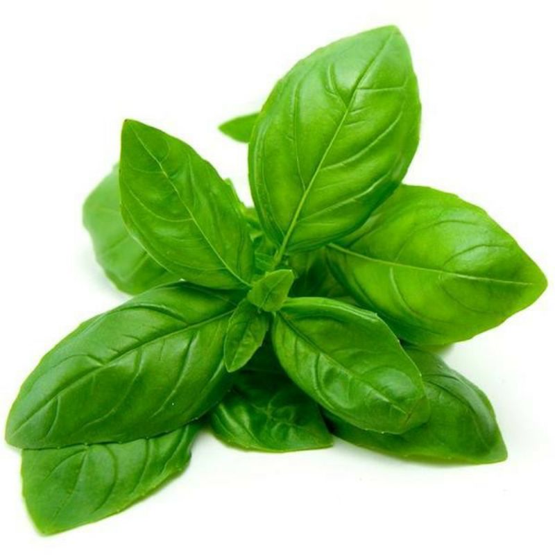 Buy Basil Patta online from Raju Bhajiwala Vegetables shop