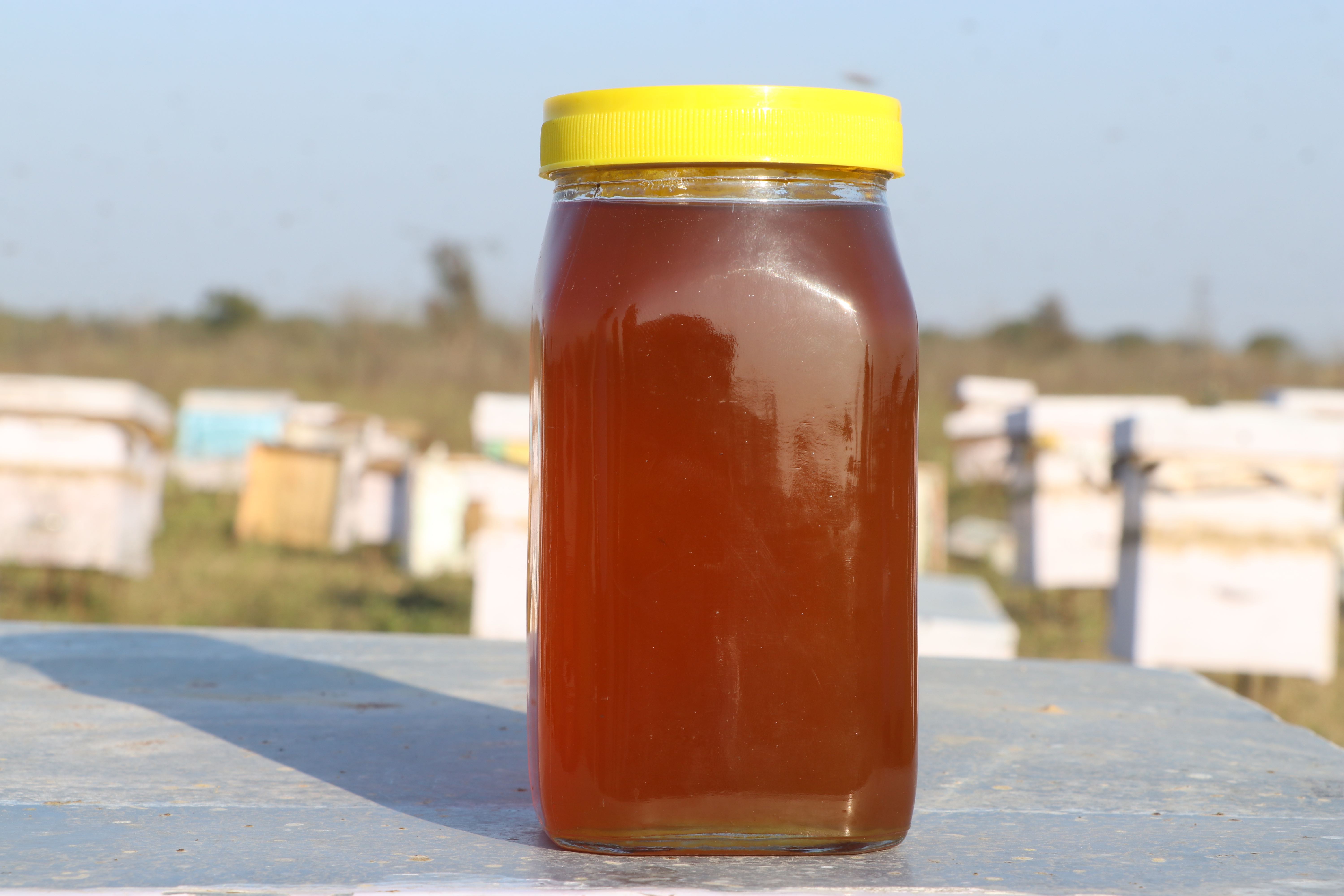 Wild Forest Honey (फारेस्ट शहद) - Shudh Farm