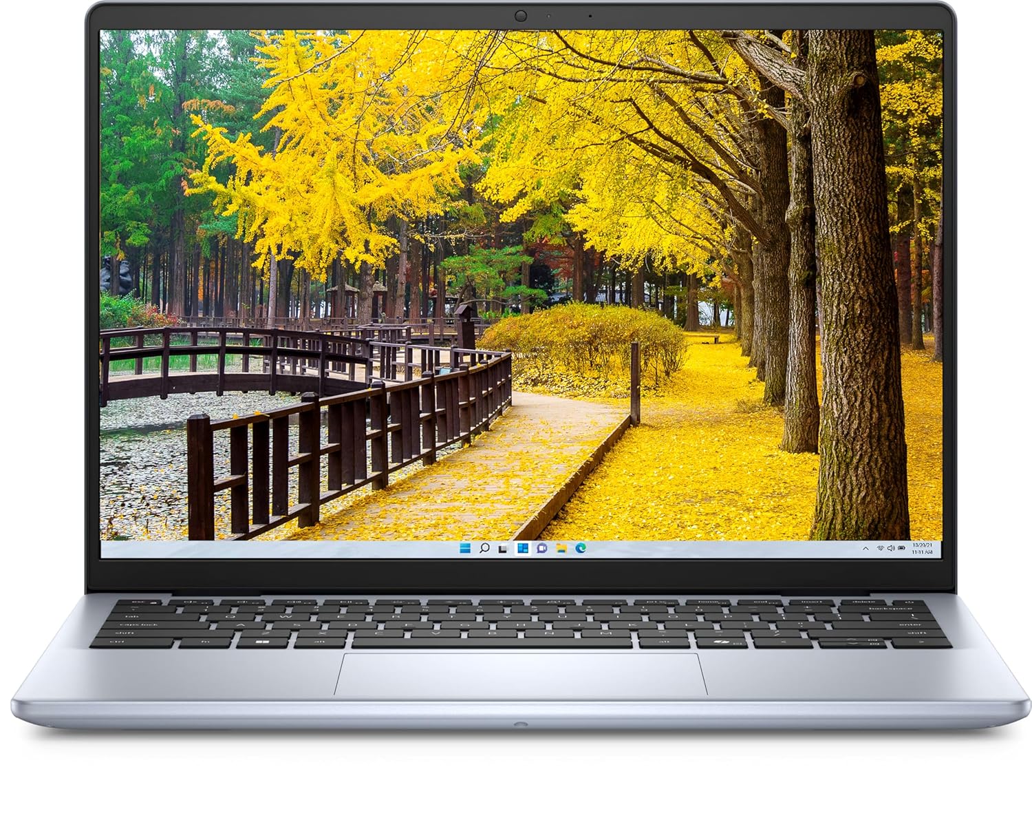 Buy DELL VOSTRO 3530 CORE i3-13TH GEN/8GB/512GB SSD/15.6