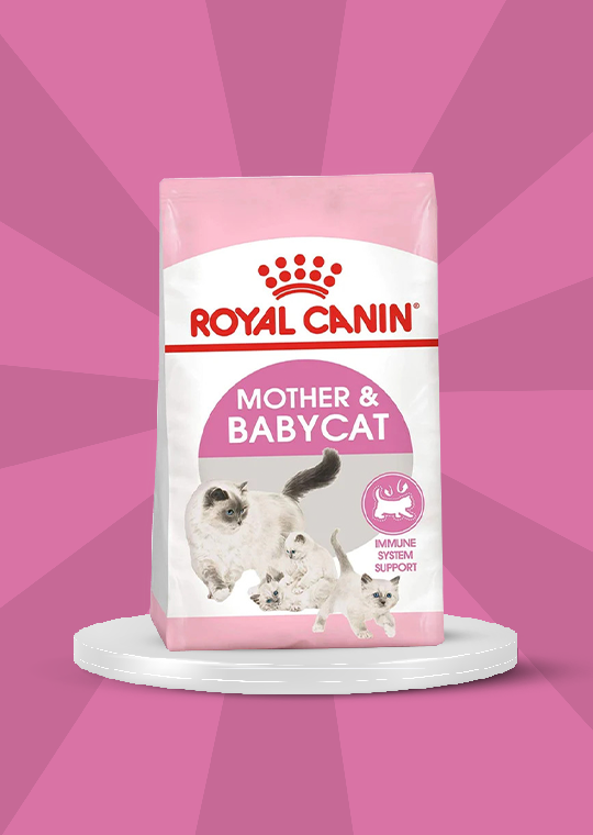 Royal Canin - Mother and Baby Cat, Specific needs of Growing Baby