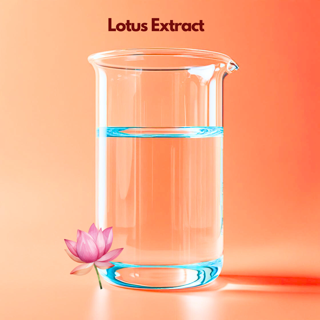 Cola Lipid C | Lipid Cosmetic Active Ingredient Cola Lipid C | Lipid Cosmetic Active Ingredient
