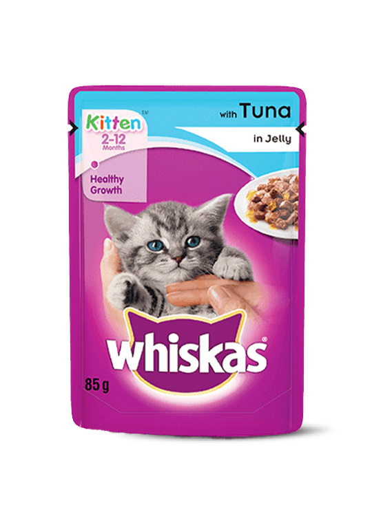 Premium Kitten Wet Food for Healthy Growth