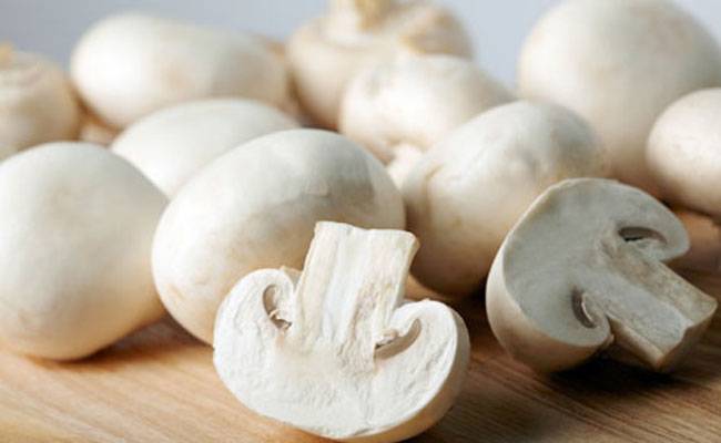 Mushroom Packet/मशरूम पैकेट - KisaanRiksha-किसान रिक्शा