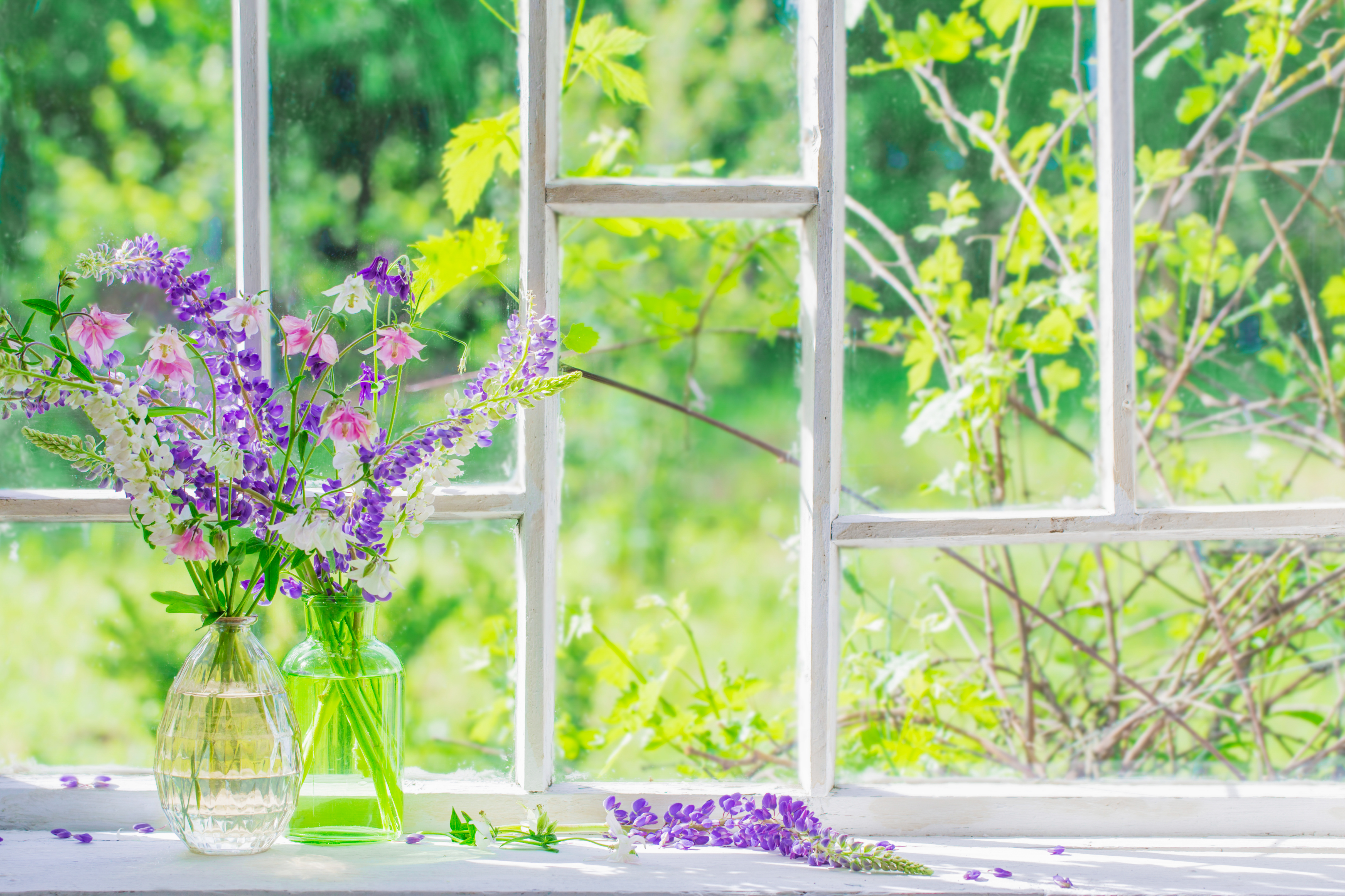 Nature Window Backdrop 9 - Prism Props