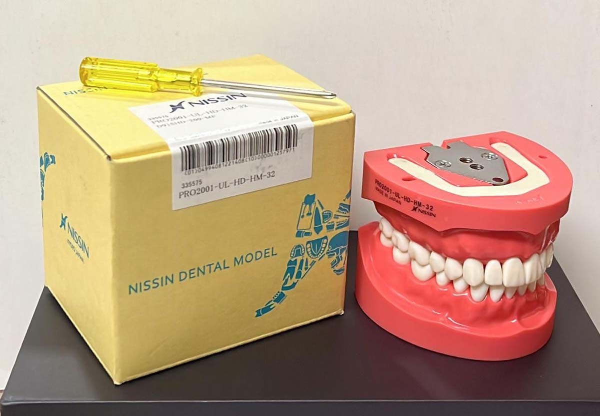 Buy NISSIN TYPHODONT JAW SET Online - Dental Solution