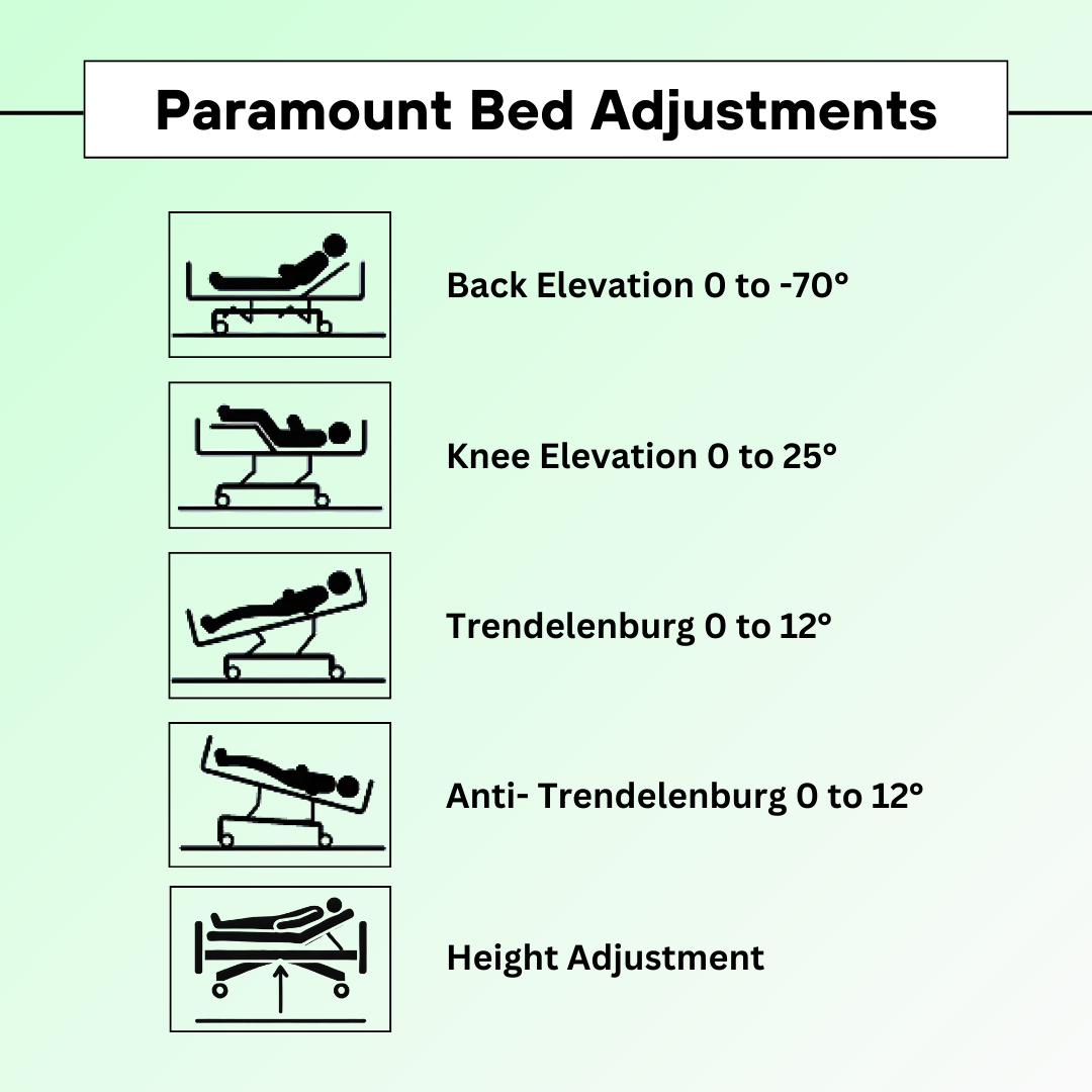 Paramount Bed Ajustability