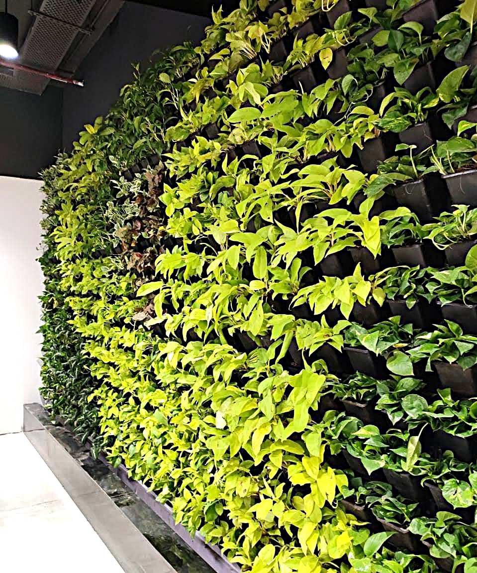Vertical Garden Design 3