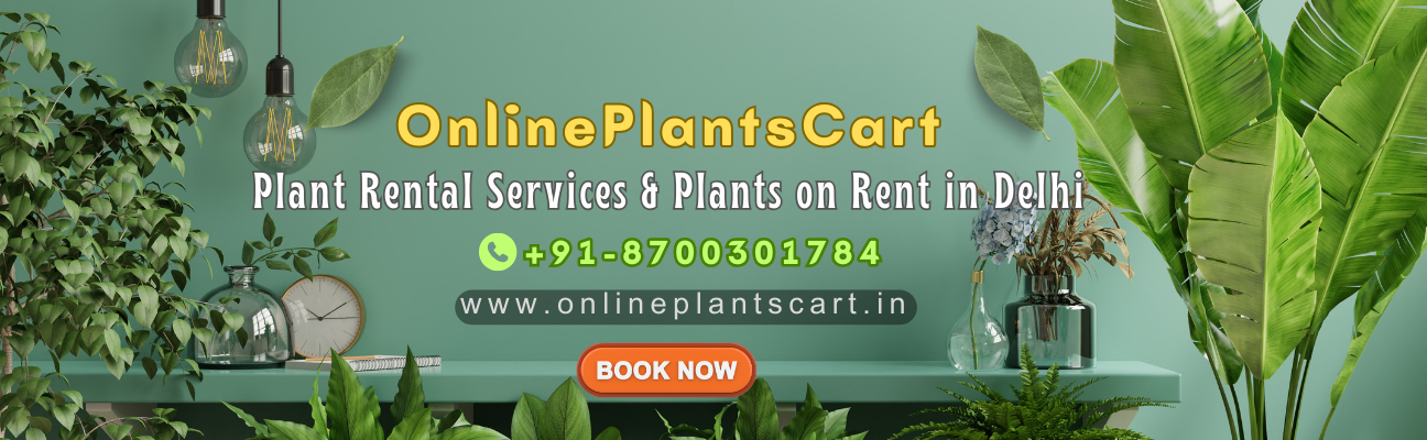 Plant Rental Services & Plants on Rent in Delhi at Onlineplantscart