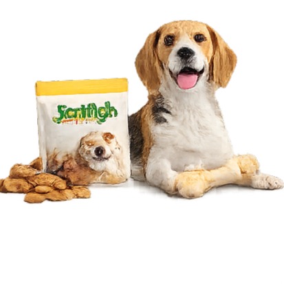 Pet Treats