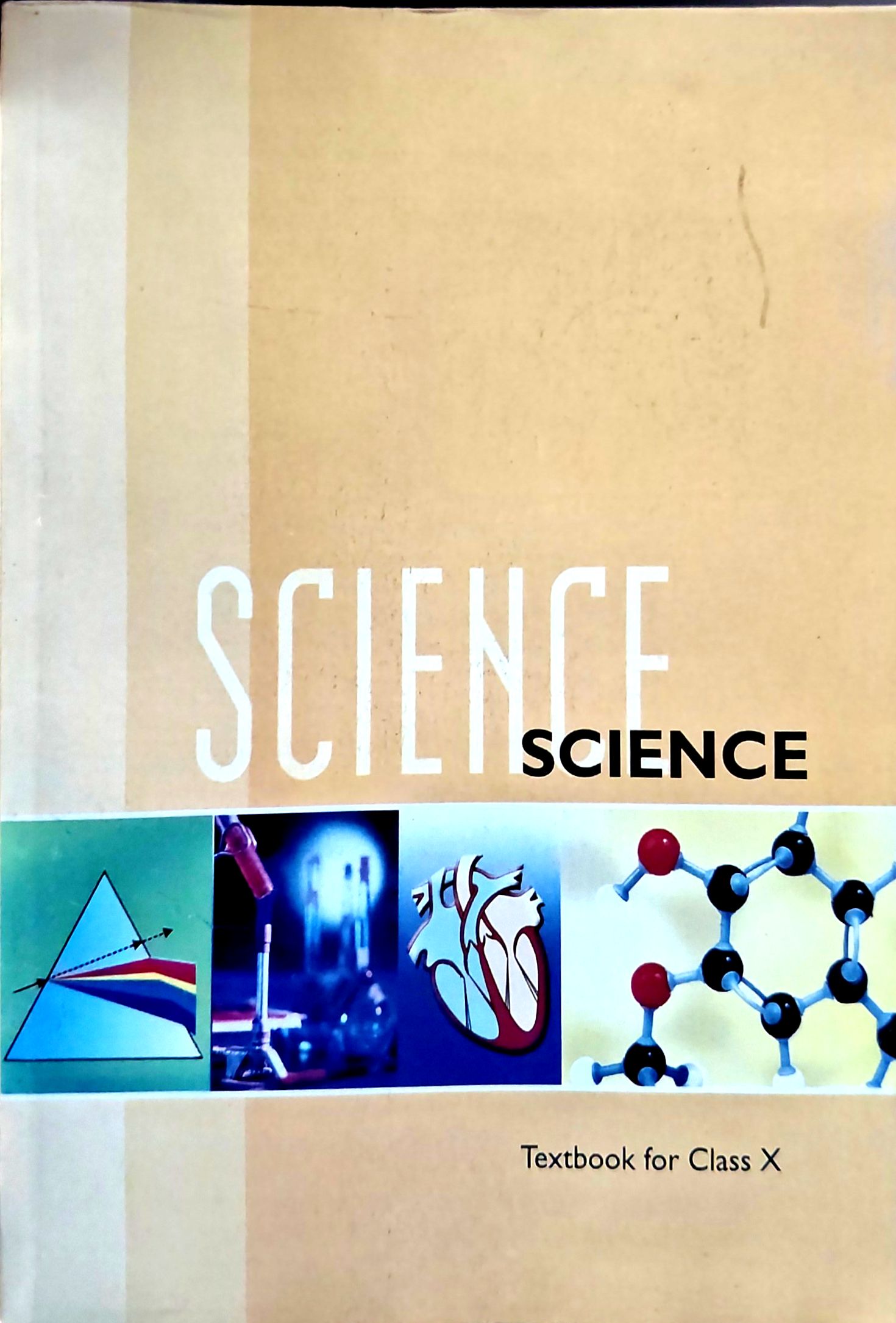 Science book text book for class 10 NCERT book in English medium ...