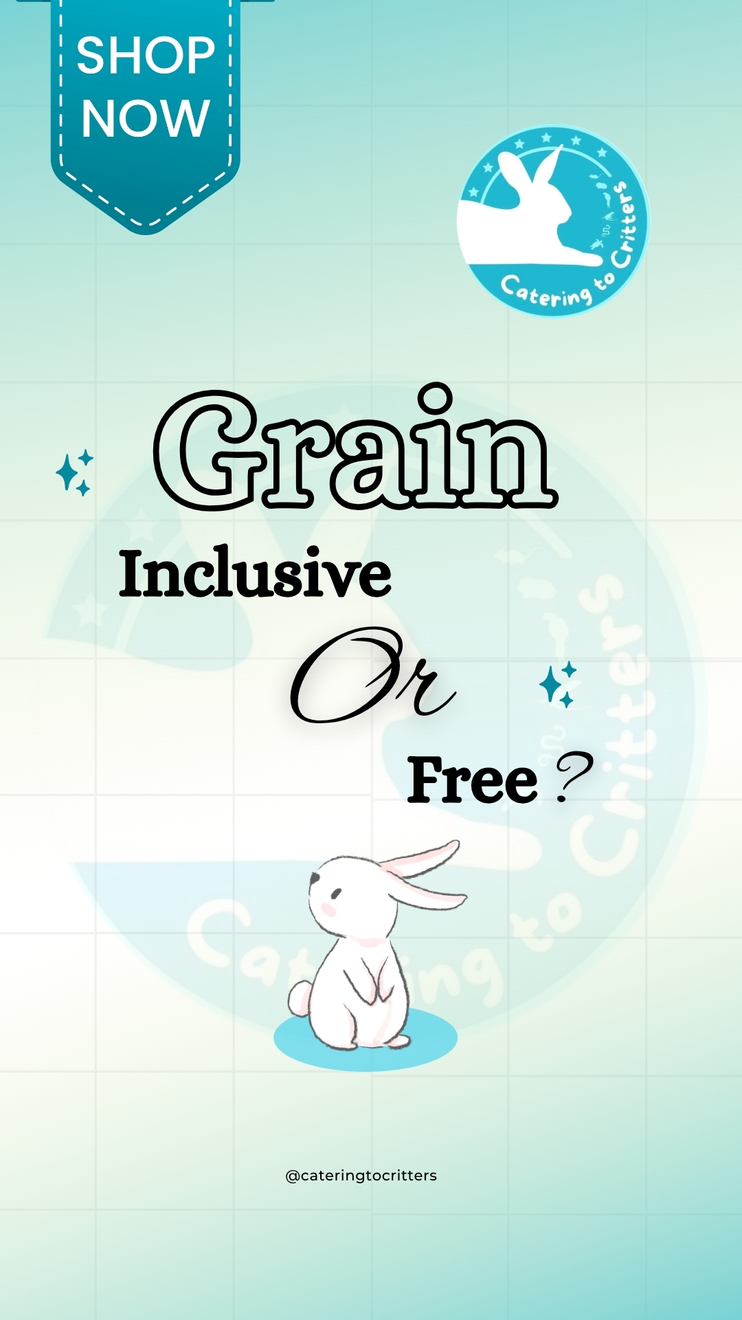 Orange Peel Brightening Face Serum