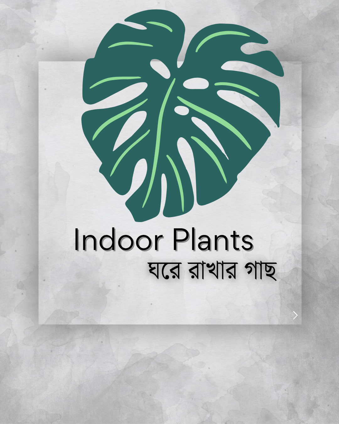 indoorplants