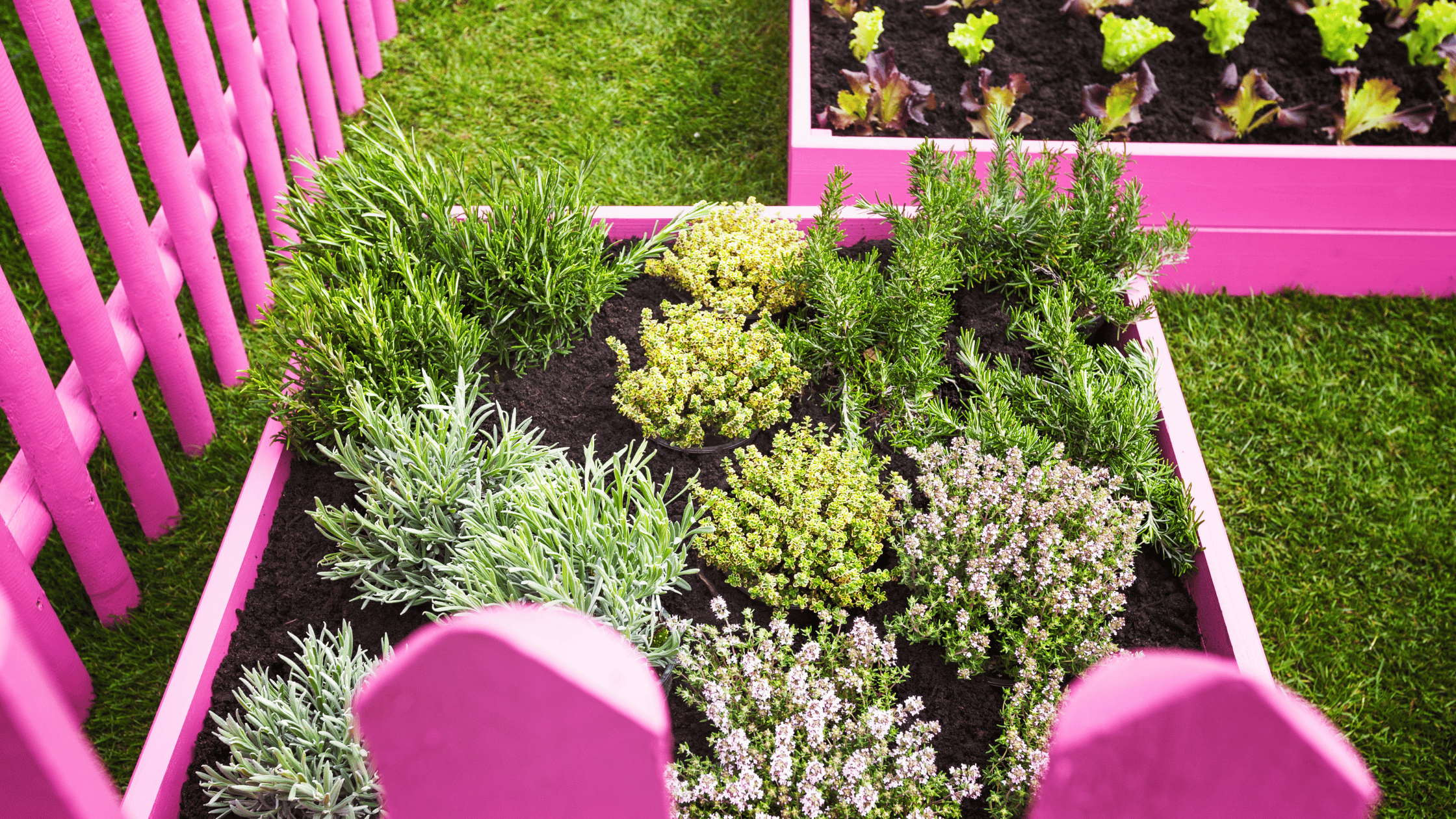 container garden