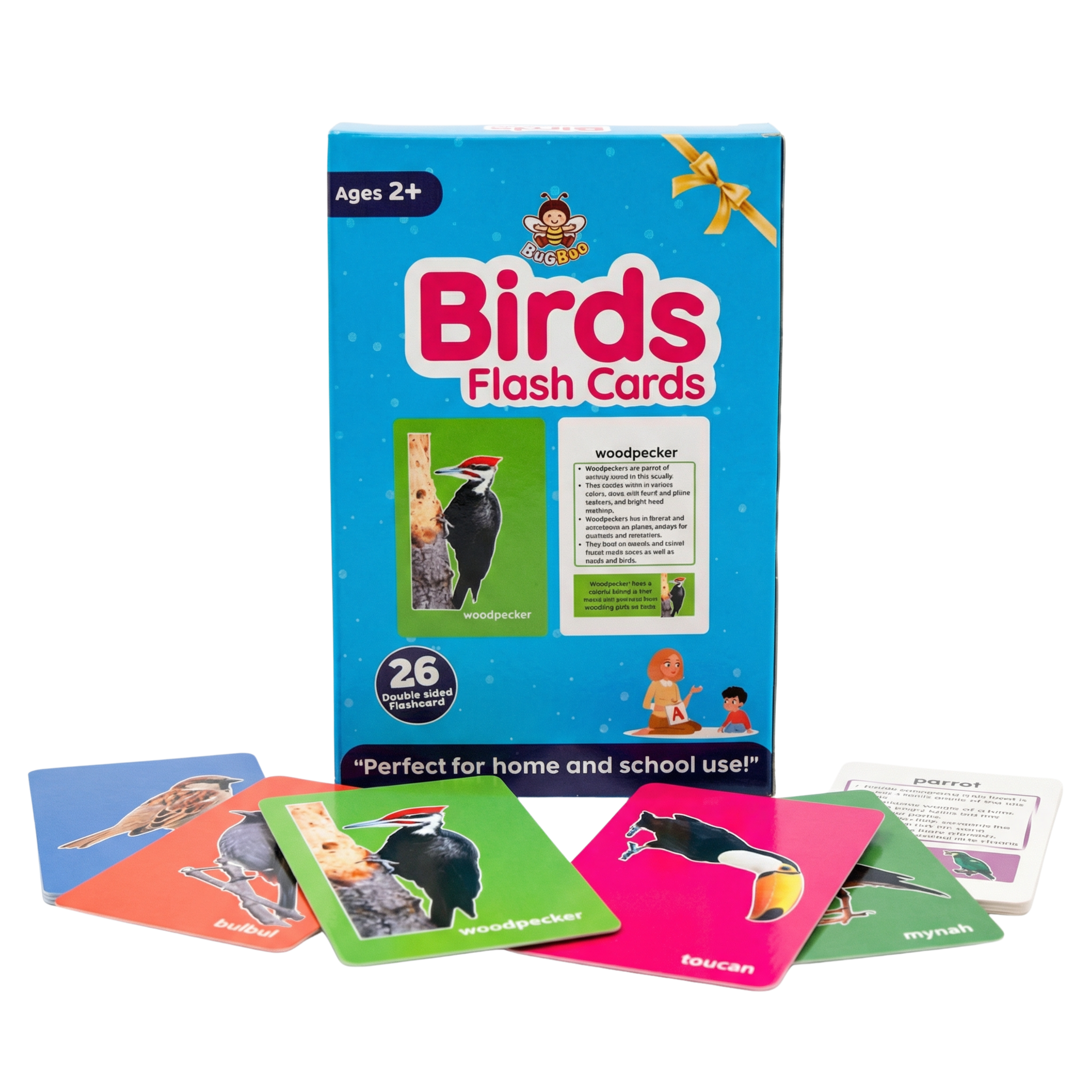 Birds Flash Cards for Kids with Pictures | Bird Learning Cards