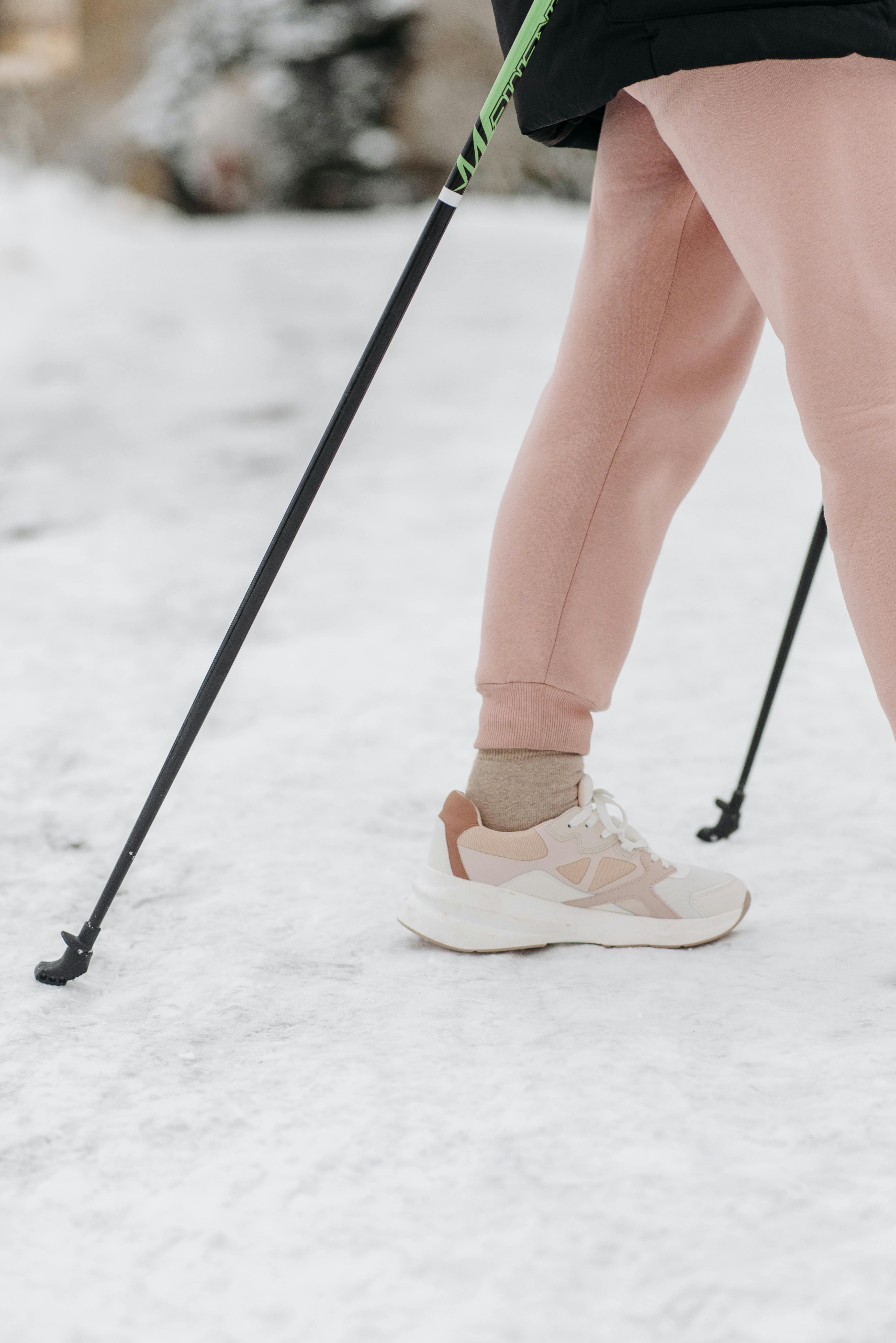 gtribe walking pole