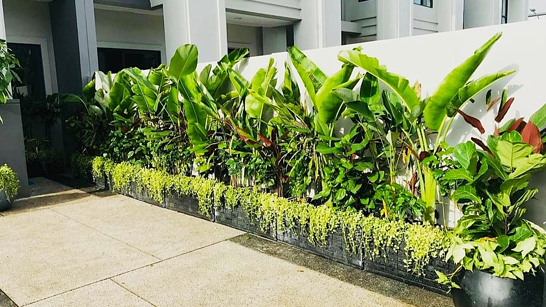 Plant Care