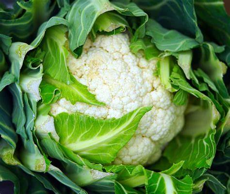 Fresh and Mid Sized Cauliflower - UrbanAura
