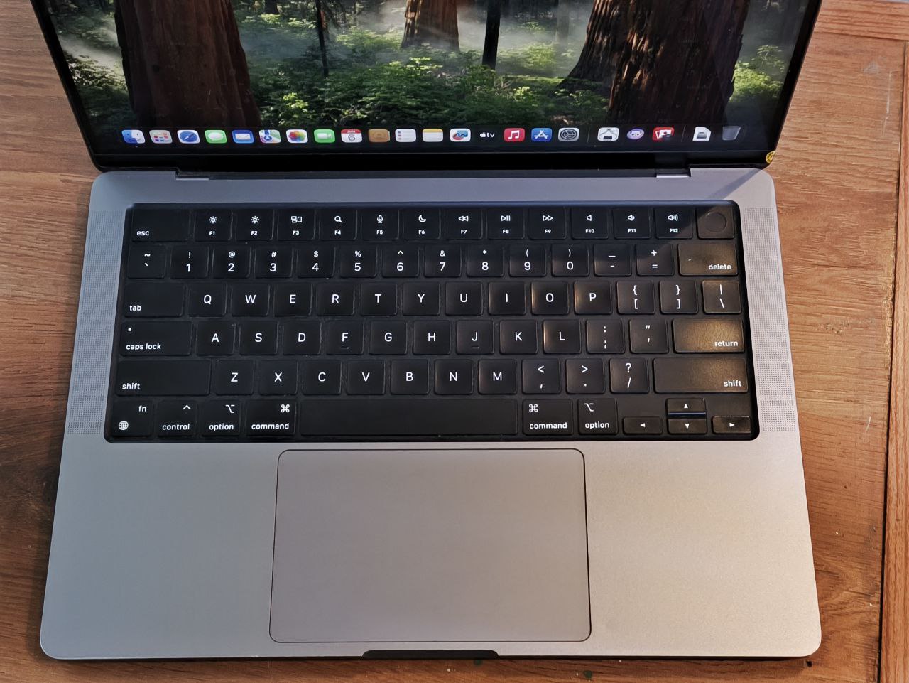 D*e様 Apple Macbook M1 Pro | 32 GB | 512 Apple MacBook Pro M1 Pro Chip with 10 Core CPU and 16 Core