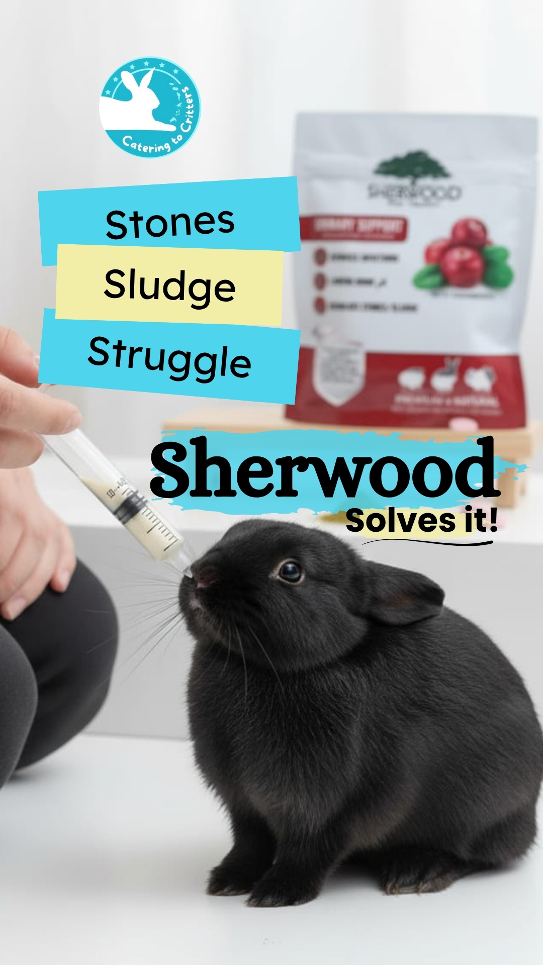 Pomegranate Anti Aging Face Serum