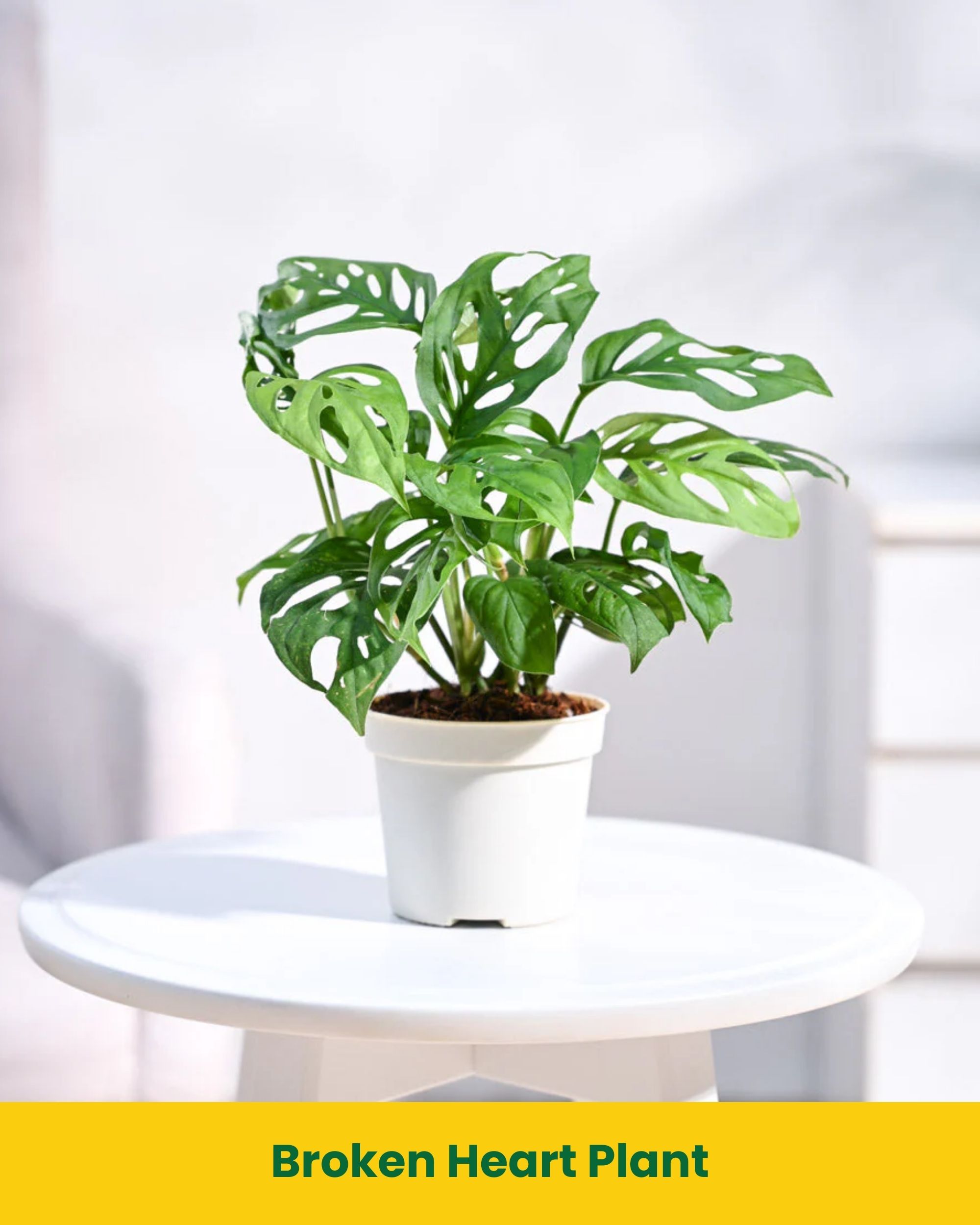 faux plants bathroom Artificial in Pots Small Fake Plants for Bedroom Aesthetic Living Room   Farmsgear