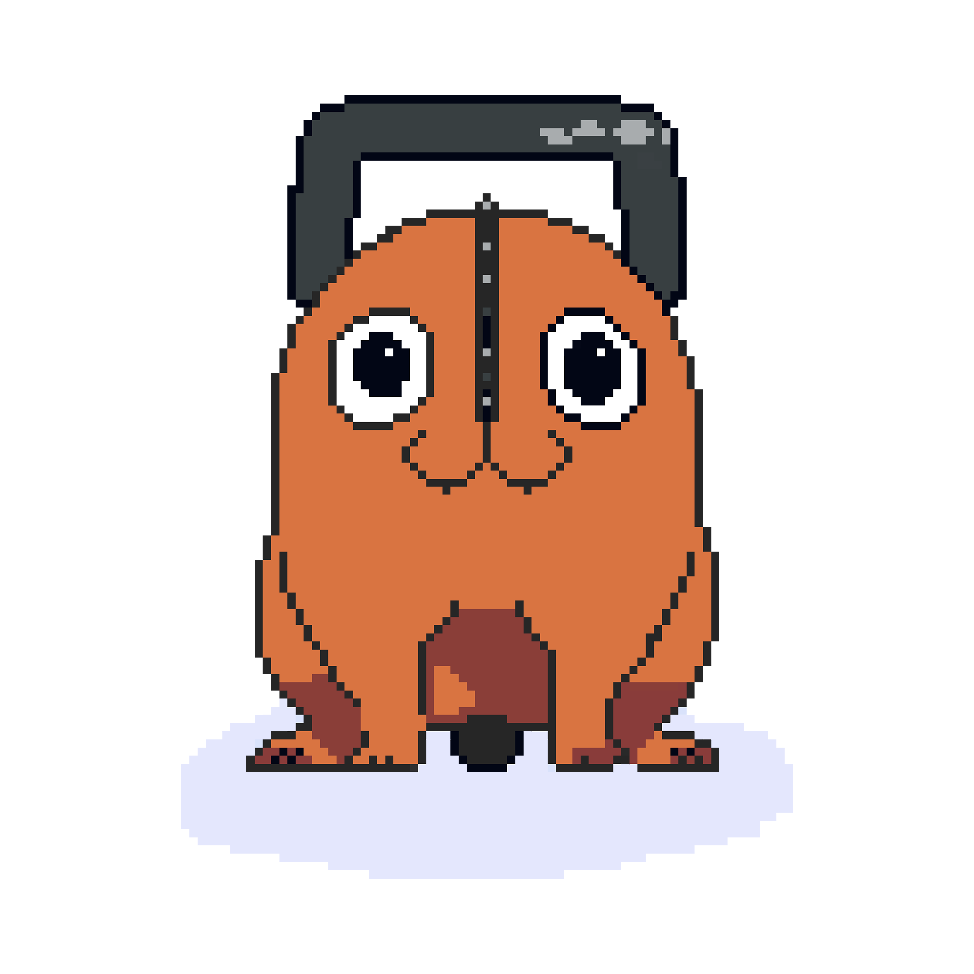 PIXEL POCHITA