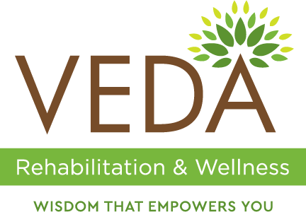 Veda Logo