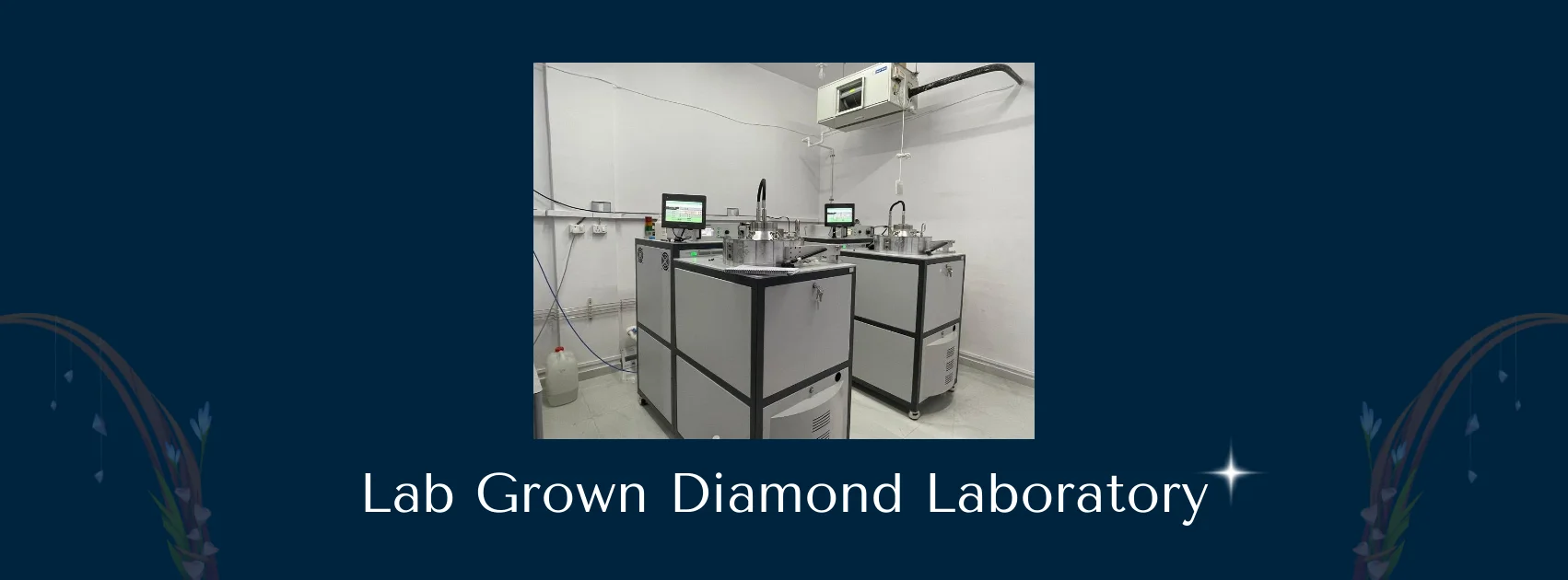 Lab Grown Diamond Laboratory