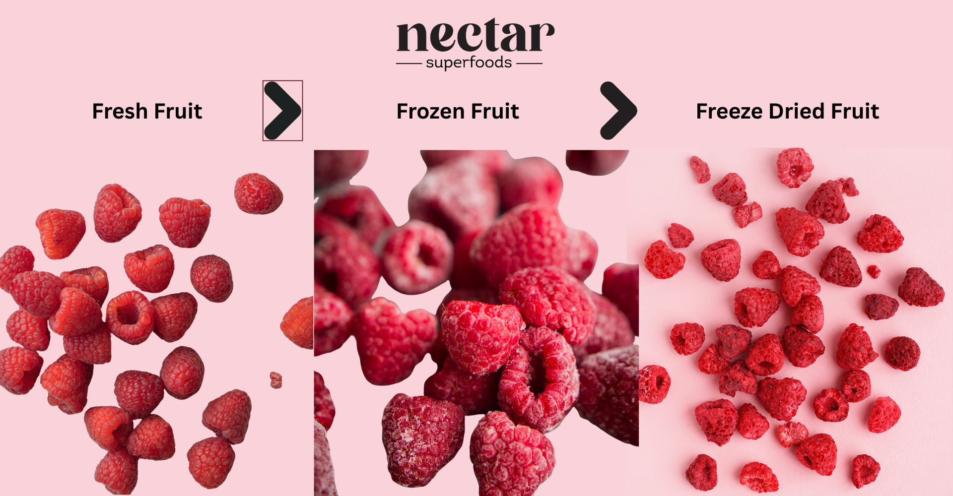 fresh versus freeze dried fruit: Nectar superfoods difference