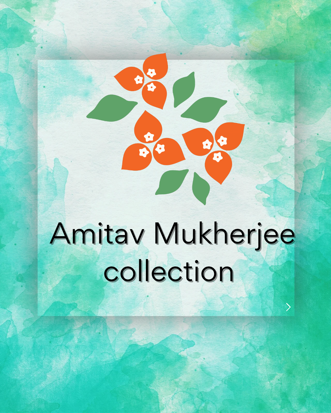 AmitavMukherjeecollection