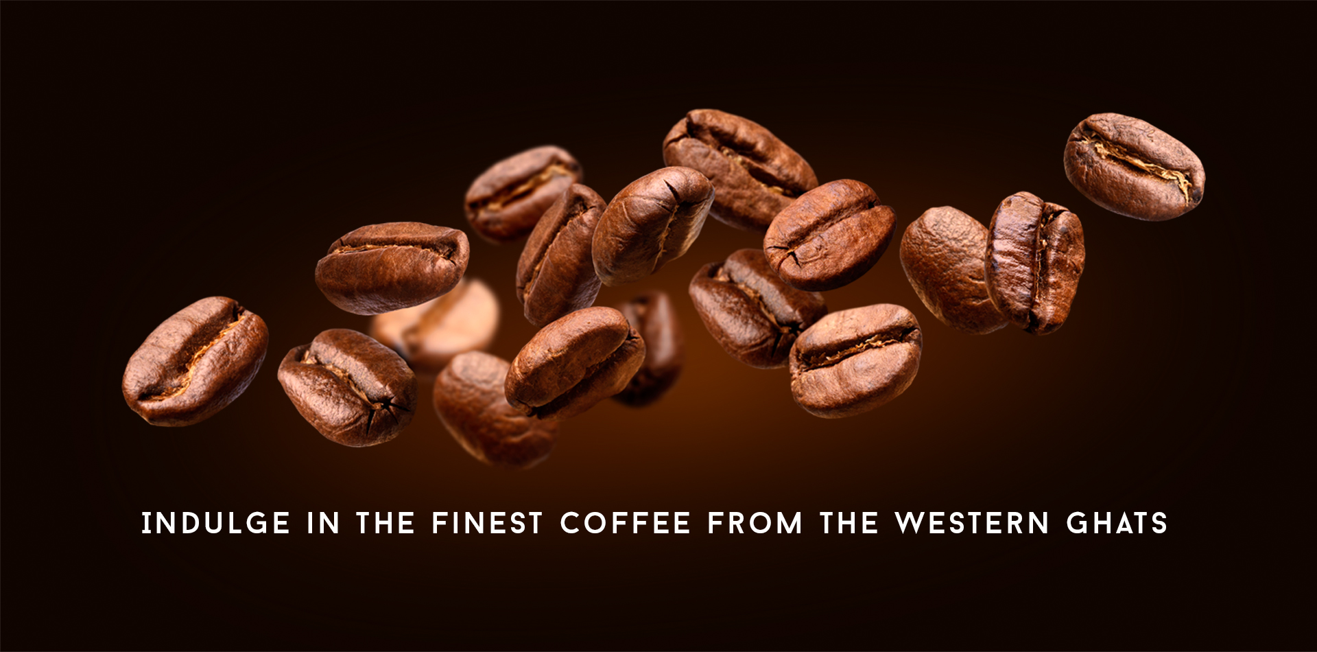 Western Terrain Coffee Roasters | 100 % Arabica Coffee