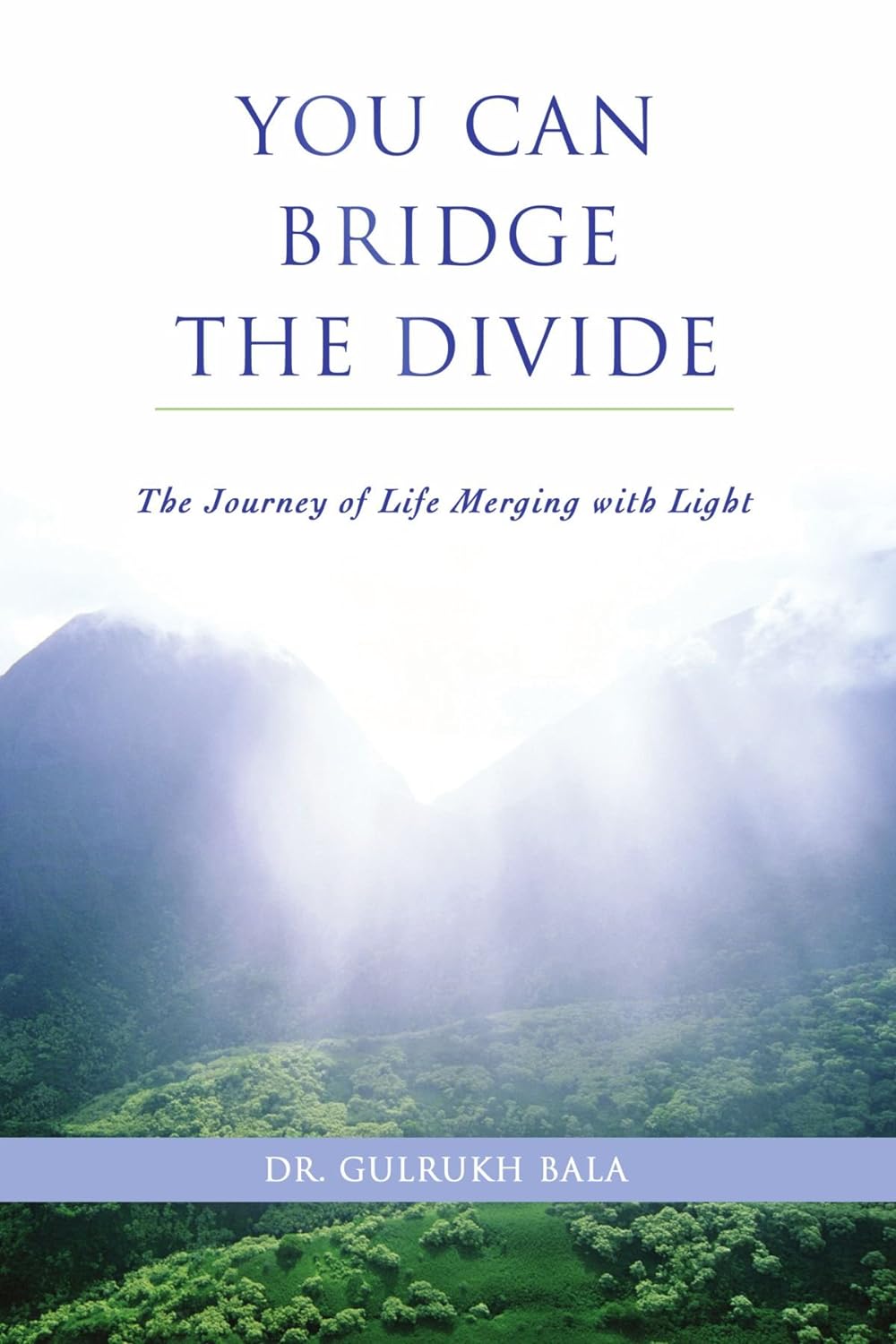 You Can Bridge the Divide: The Journey of Life Merging with Light by Dr ...
